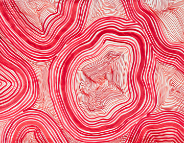 Participating Artists Revealed for 15th Shanghai Biennale