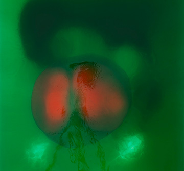 Whitney Biennial 2026 Announces Artist List